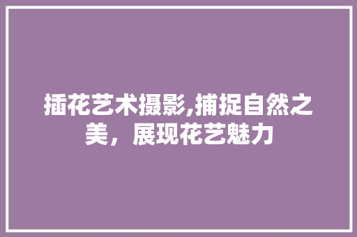 插花艺术摄影,捕捉自然之美，展现花艺魅力