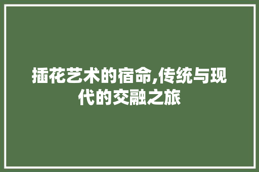 插花艺术的宿命,传统与现代的交融之旅