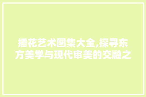 插花艺术图集大全,探寻东方美学与现代审美的交融之美