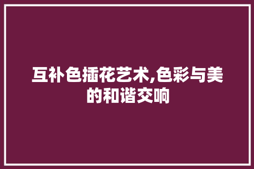 互补色插花艺术,色彩与美的和谐交响