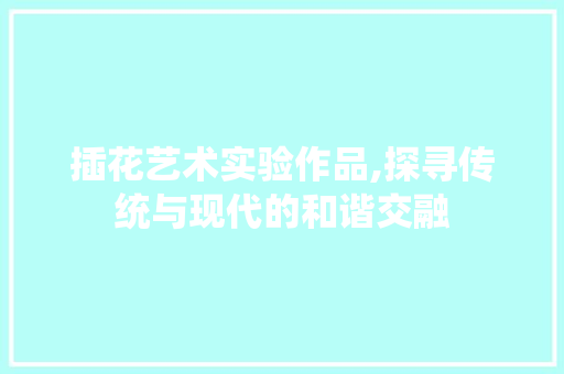 插花艺术实验作品,探寻传统与现代的和谐交融