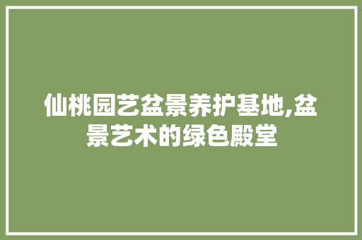 仙桃园艺盆景养护基地,盆景艺术的绿色殿堂