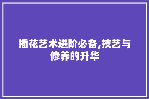 插花艺术进阶必备,技艺与修养的升华