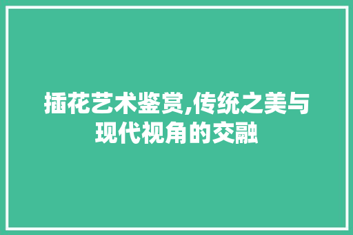 插花艺术鉴赏,传统之美与现代视角的交融