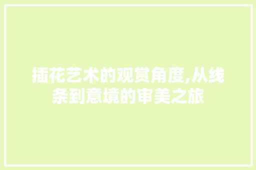 插花艺术的观赏角度,从线条到意境的审美之旅