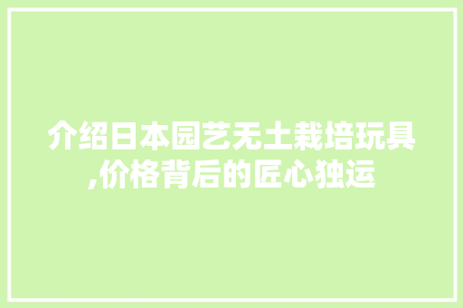 介绍日本园艺无土栽培玩具,价格背后的匠心独运