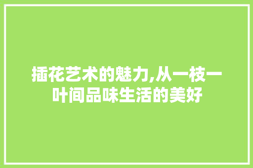 插花艺术的魅力,从一枝一叶间品味生活的美好