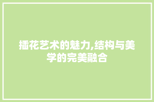 插花艺术的魅力,结构与美学的完美融合