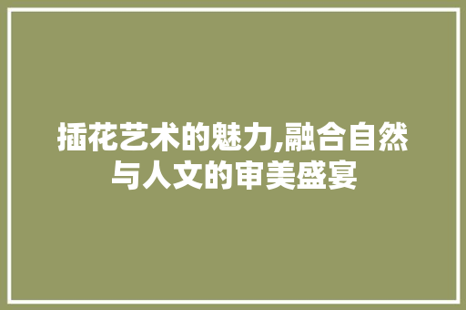 插花艺术的魅力,融合自然与人文的审美盛宴