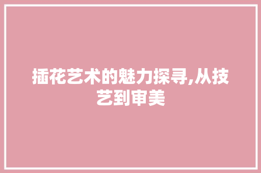 插花艺术的魅力探寻,从技艺到审美