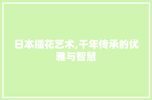 日本插花艺术,千年传承的优雅与智慧