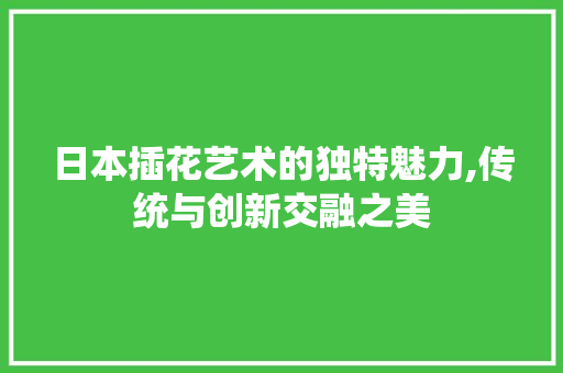 日本插花艺术的独特魅力,传统与创新交融之美