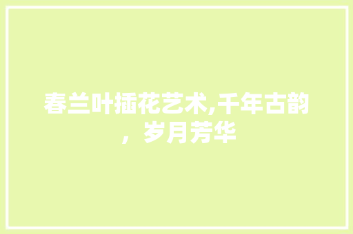 春兰叶插花艺术,千年古韵，岁月芳华