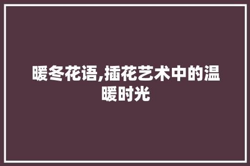 暖冬花语,插花艺术中的温暖时光