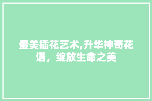 最美插花艺术,升华神奇花语，绽放生命之美