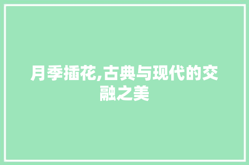 月季插花,古典与现代的交融之美