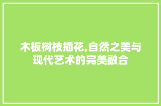 木板树枝插花,自然之美与现代艺术的完美融合