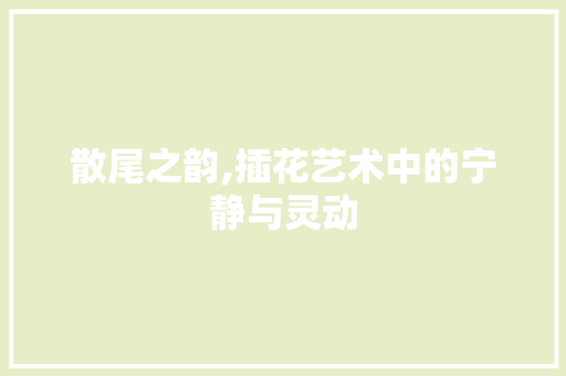 散尾之韵,插花艺术中的宁静与灵动