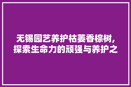 无锡园艺养护枯萎香棕树,探索生命力的顽强与养护之路