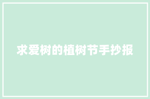 橙色艺术插花,色彩盛宴中的艺术瑰宝