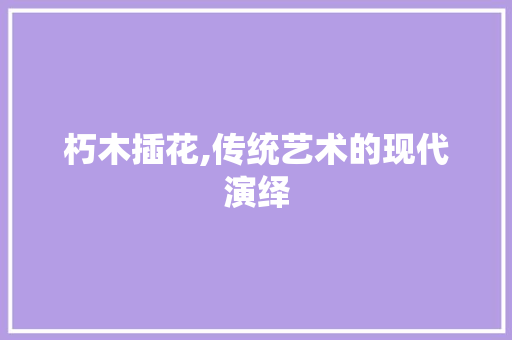 朽木插花,传统艺术的现代演绎