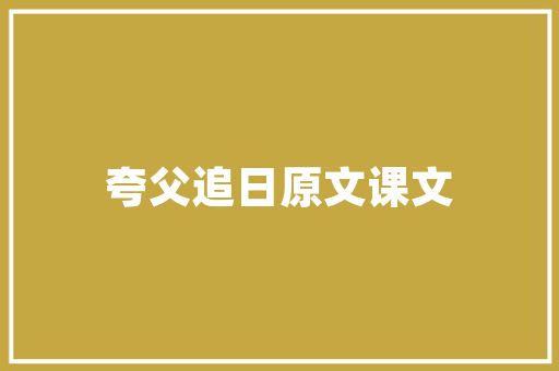 柏树插花艺术,自然与艺术的完美融合