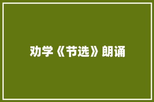 玄关插花艺术,空间美学与生活哲学的完美融合