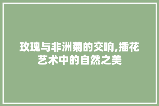 玫瑰与非洲菊的交响,插花艺术中的自然之美