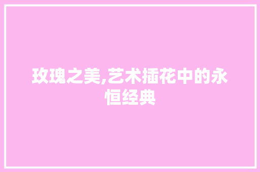 玫瑰之美,艺术插花中的永恒经典