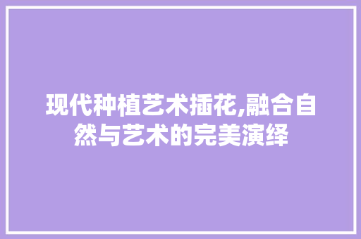 现代种植艺术插花,融合自然与艺术的完美演绎