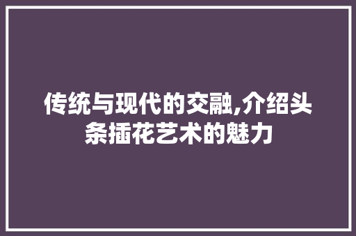 传统与现代的交融,介绍头条插花艺术的魅力