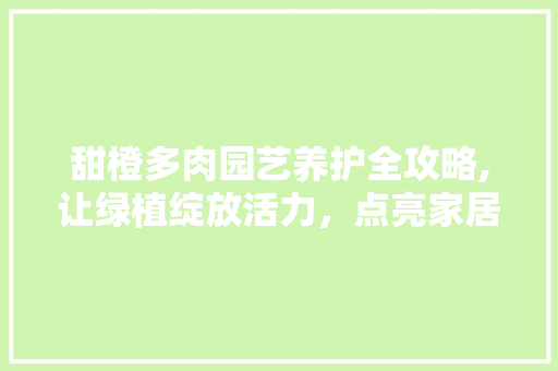 甜橙多肉园艺养护全攻略,让绿植绽放活力，点亮家居生活