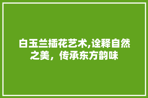 白玉兰插花艺术,诠释自然之美，传承东方韵味