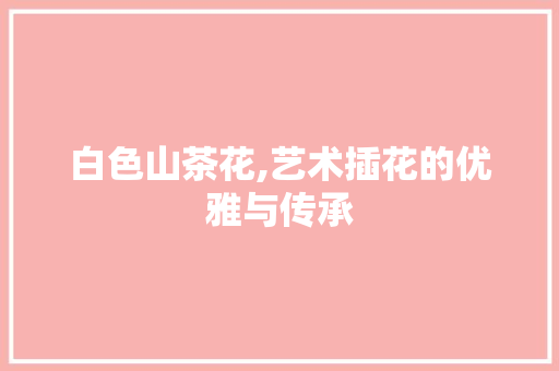 白色山茶花,艺术插花的优雅与传承