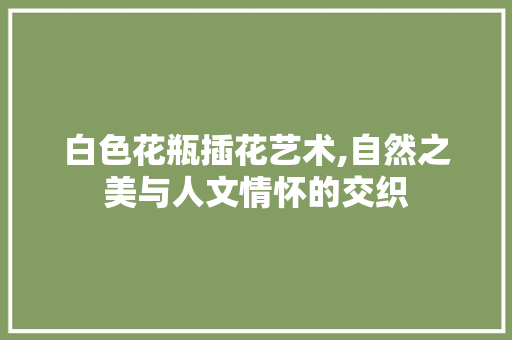 白色花瓶插花艺术,自然之美与人文情怀的交织