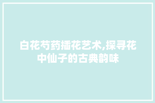 白花芍药插花艺术,探寻花中仙子的古典韵味