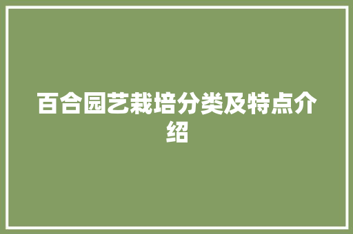 百合园艺栽培分类及特点介绍