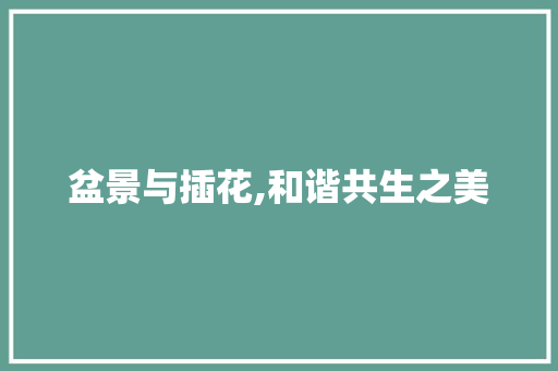 盆景与插花,和谐共生之美