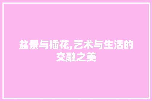 盆景与插花,艺术与生活的交融之美