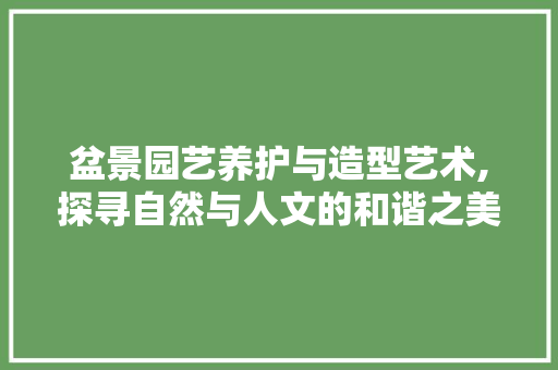 盆景园艺养护与造型艺术,探寻自然与人文的和谐之美