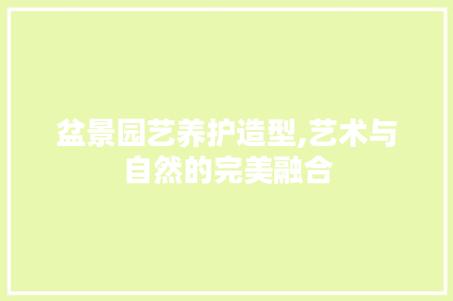 盆景园艺养护造型,艺术与自然的完美融合