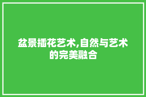 盆景插花艺术,自然与艺术的完美融合
