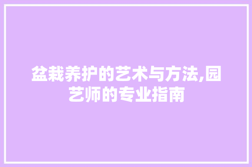 盆栽养护的艺术与方法,园艺师的专业指南