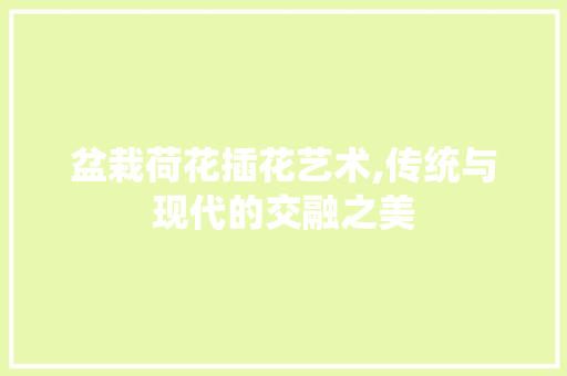 盆栽荷花插花艺术,传统与现代的交融之美