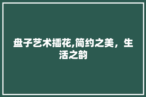 盘子艺术插花,简约之美，生活之韵