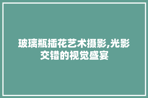 玻璃瓶插花艺术摄影,光影交错的视觉盛宴
