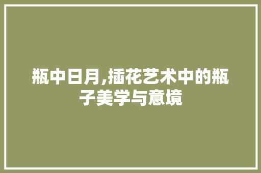 瓶中日月,插花艺术中的瓶子美学与意境