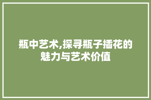 瓶中艺术,探寻瓶子插花的魅力与艺术价值
