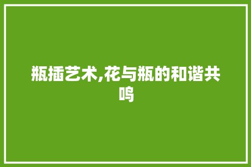 瓶插艺术,花与瓶的和谐共鸣