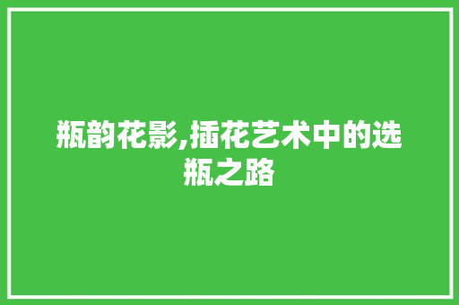 瓶韵花影,插花艺术中的选瓶之路